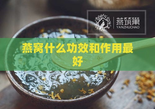 燕窝什么功效和作用更好