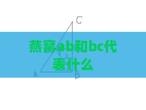 燕窝ab和bc代表什么