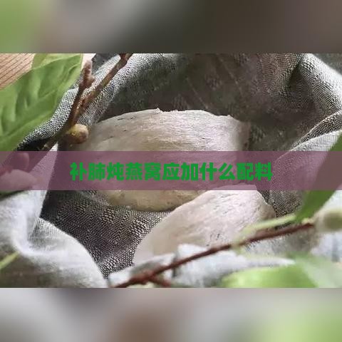 补肺炖燕窝应加什么配料