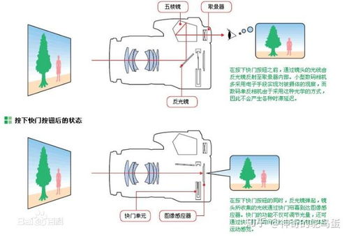 燕窝生产模式是什么原理