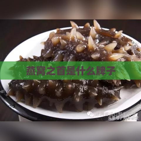 燕窝之首是什么牌子