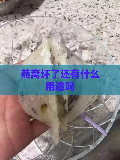 燕窝坏了还有什么用途吗