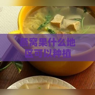 燕窝果什么地区可以种植