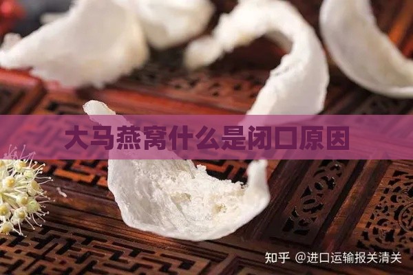 大马燕窝什么是闭口原因