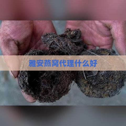 雅安燕窝代理什么好