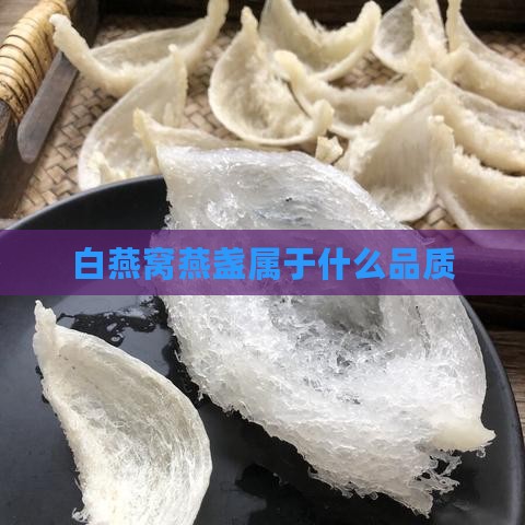 白燕窝燕盏属于什么品质