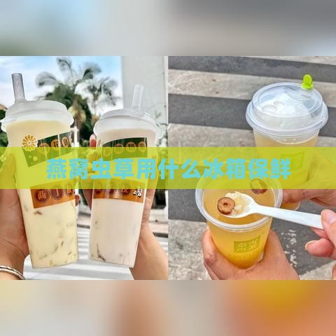 燕窝虫草用什么冰箱保鲜