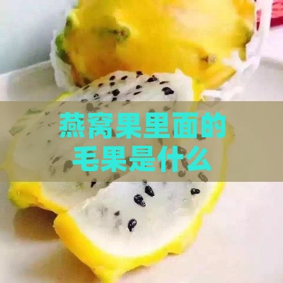 燕窝果里面的毛果是什么