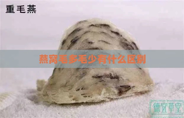 燕窝毛多毛少有什么区别