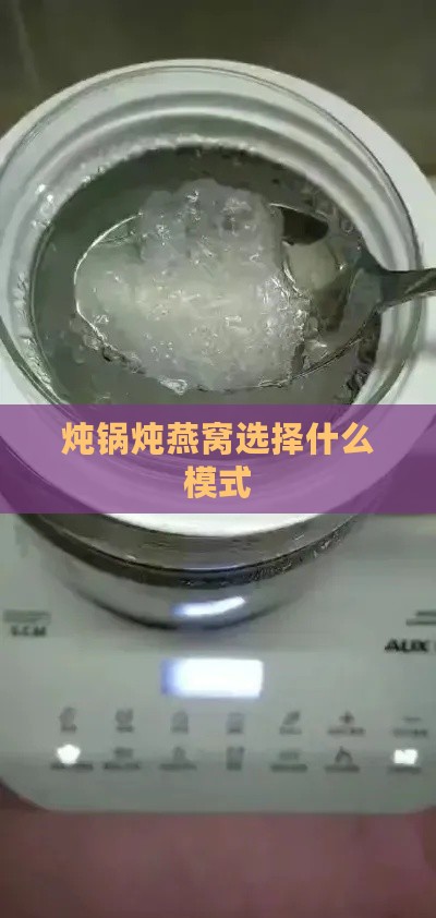 炖锅炖燕窝选择什么模式