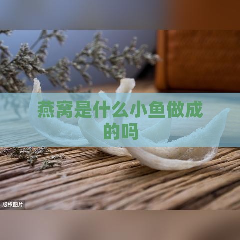 燕窝是什么小鱼做成的吗