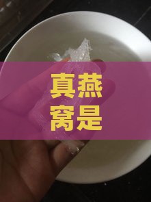 真燕窝是什么颜色和气味