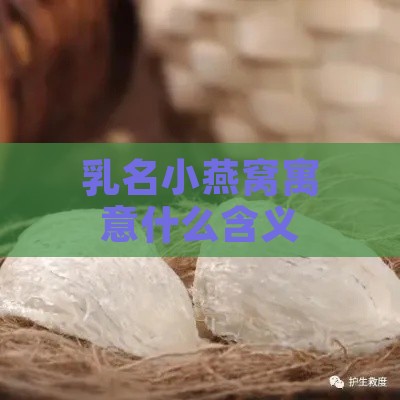 乳名小燕窝寓意什么含义