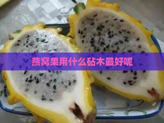 燕窝果用什么砧木更好呢