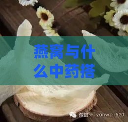 燕窝与什么中药搭配更好