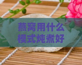 燕窝用什么模式炖煮好呢