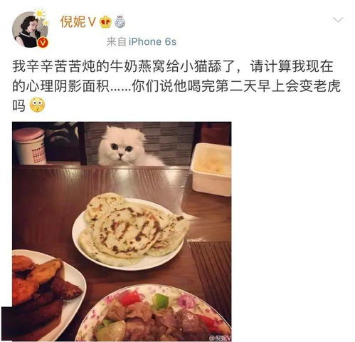 什么药材和燕窝媲美更好