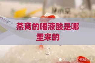 燕窝的唾液酸是哪里来的