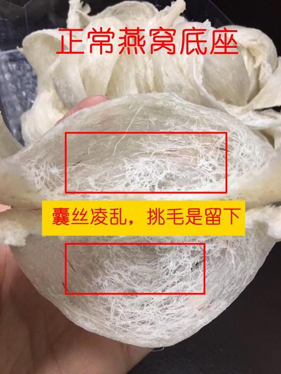 什么网站能看到燕窝知识