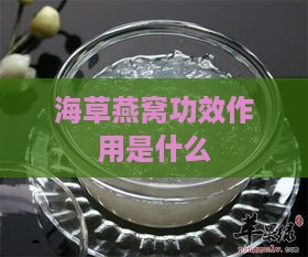 海草燕窝功效作用是什么