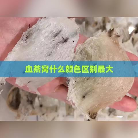 血燕窝什么颜     别更大