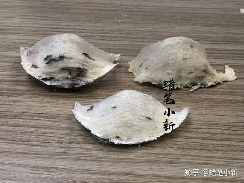 什么形态的燕窝品质更好