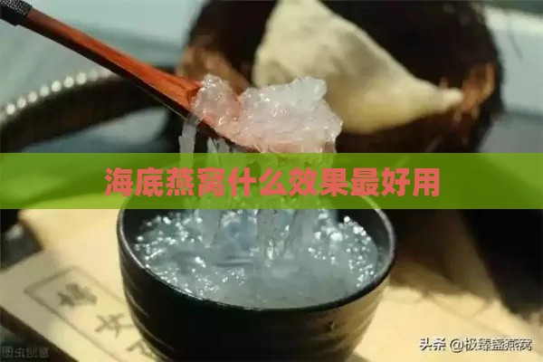 海底燕窝什么效果更好用