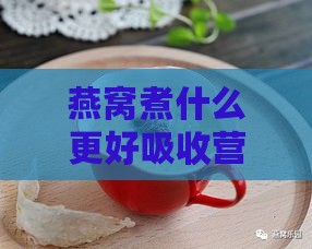 燕窝煮什么更好吸收营养