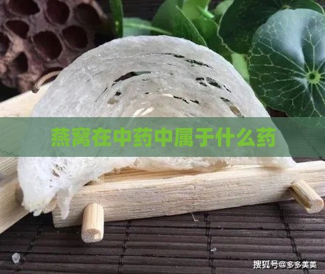 燕窝在中药中属于什么药