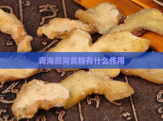 青海燕窝黄精有什么作用