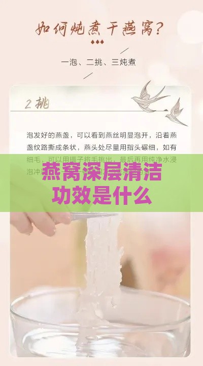 燕窝深层清洁功效是什么