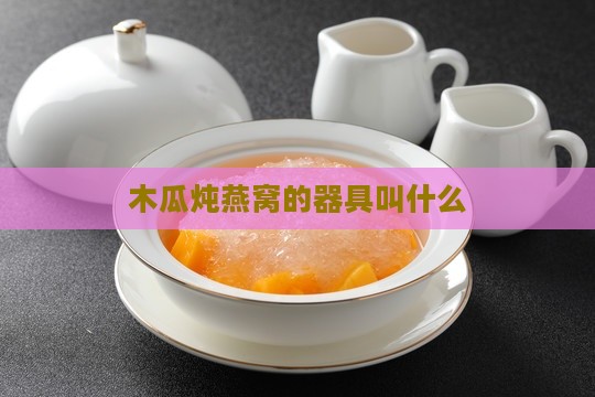 木瓜炖燕窝的器具叫什么