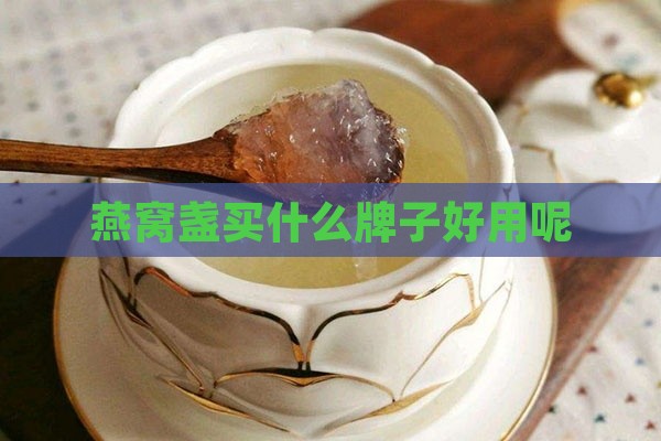 燕窝盏买什么牌子好用呢