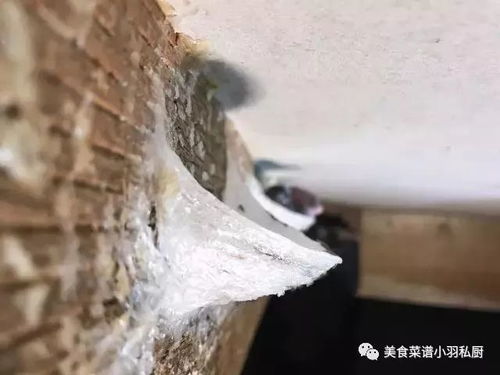 燕窝要挑什么颜色的更好