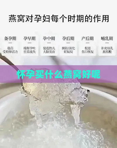 怀孕买什么燕窝好呢