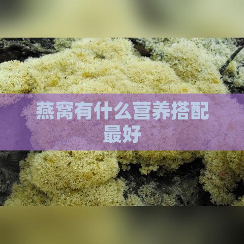 燕窝有什么营养搭配更好