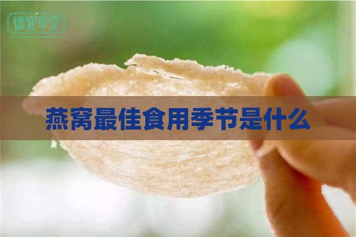 燕窝更佳食用季节是什么