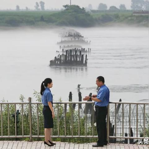 辽宁燕窝代理什么好