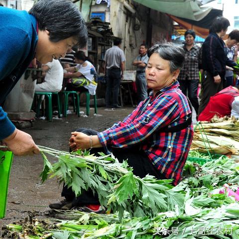 老人食用燕窝什么牌子好