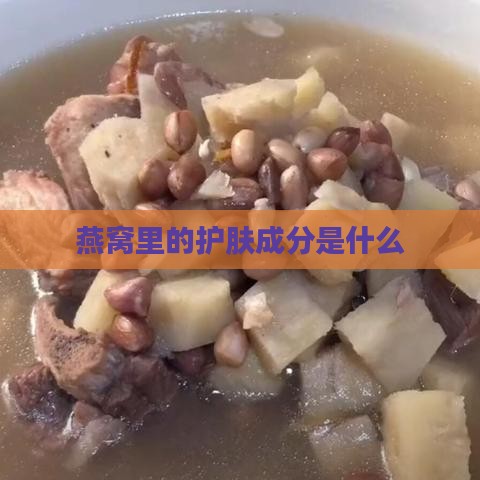 燕窝里的护肤成分是什么