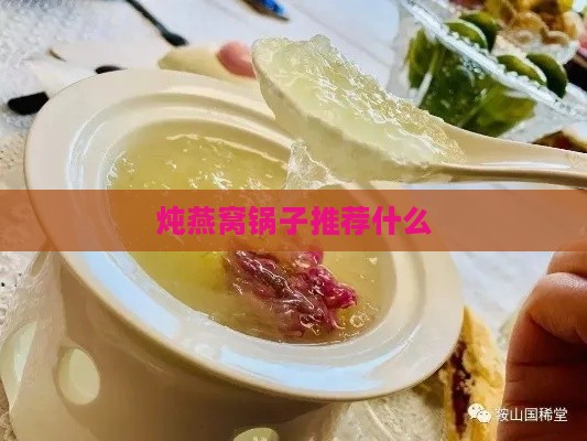 炖燕窝锅子推荐什么