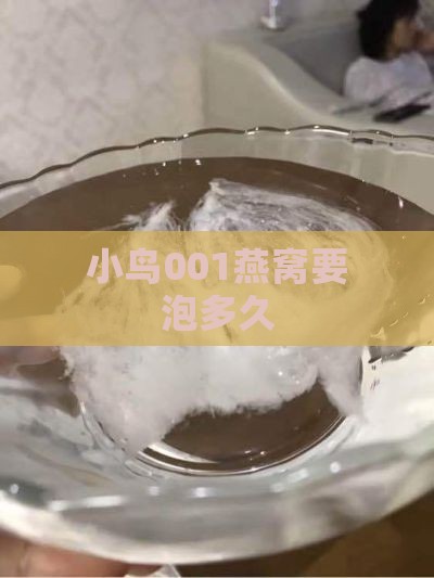 小鸟001燕窝要泡多久