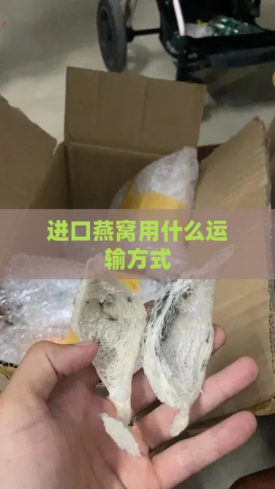 进口燕窝用什么运输方式