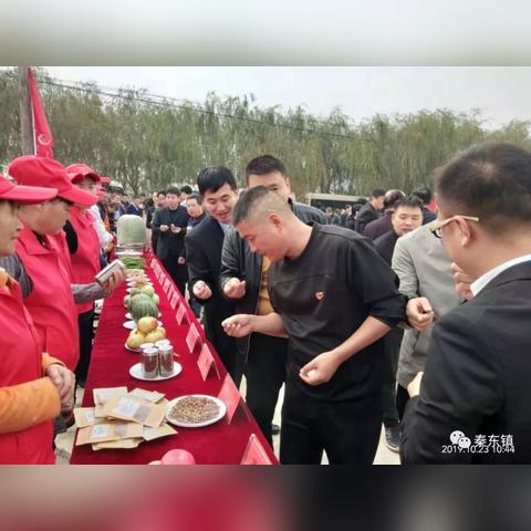 红参燕窝石榴饮什么功效