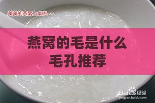 燕窝的毛是什么毛孔推荐