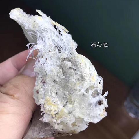 颗粒状的燕窝是什么燕窝