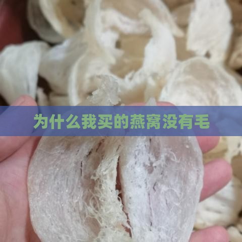 为什么我买的燕窝没有毛