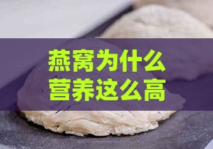 燕窝为什么营养这么高呢