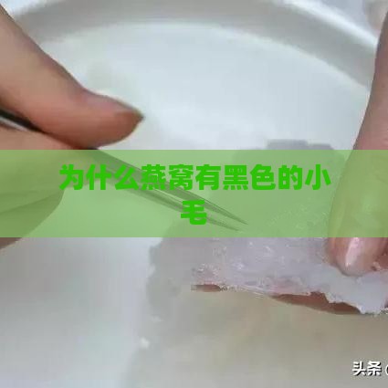 为什么燕窝有黑色的小毛