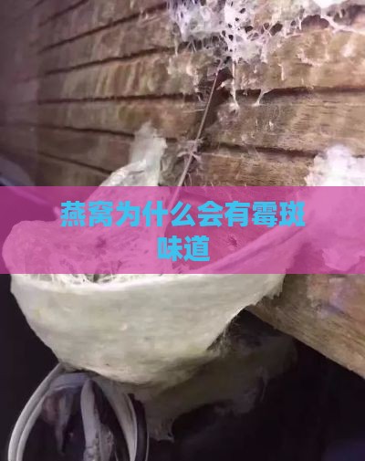 燕窝为什么会有霉斑味道